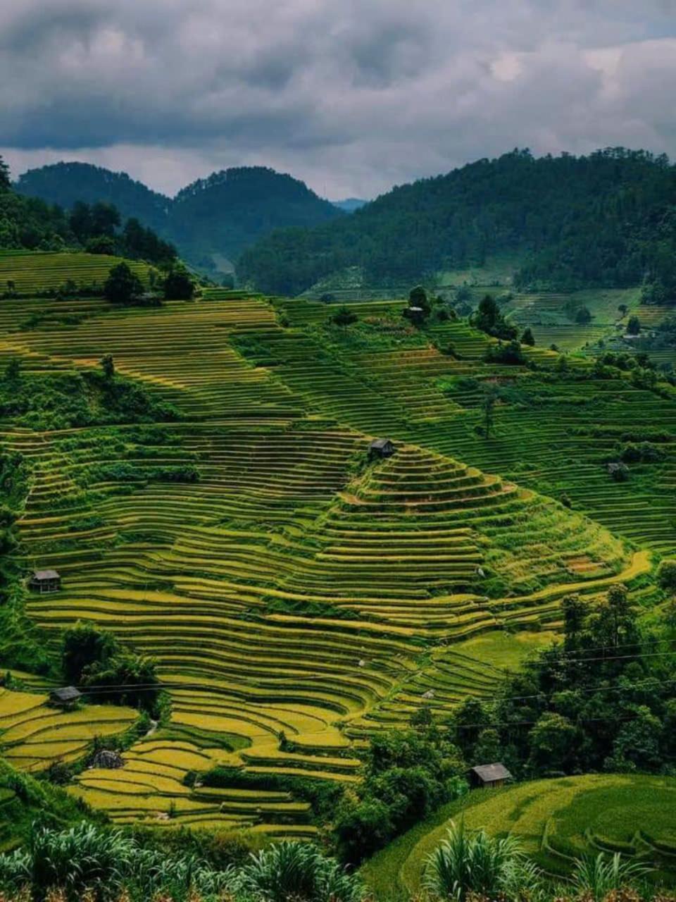 Mu Cang Chai Eco Home Extérieur photo