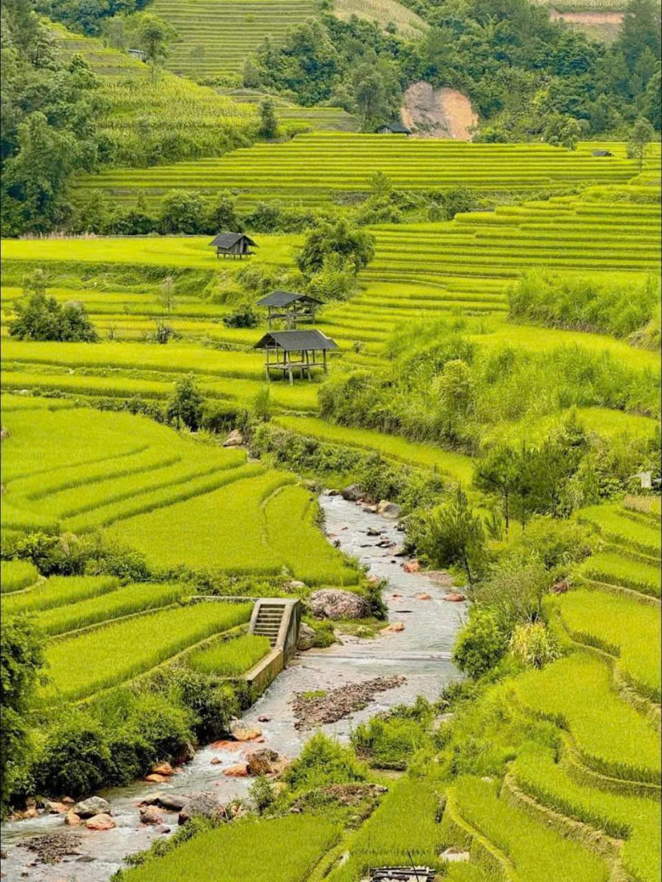 Mu Cang Chai Eco Home Extérieur photo