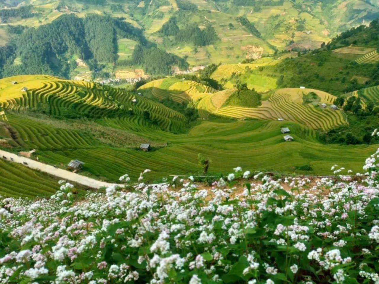 Mu Cang Chai Eco Home Extérieur photo