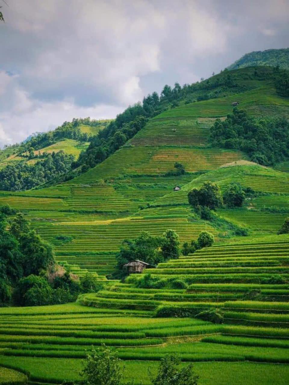 Mu Cang Chai Eco Home Extérieur photo