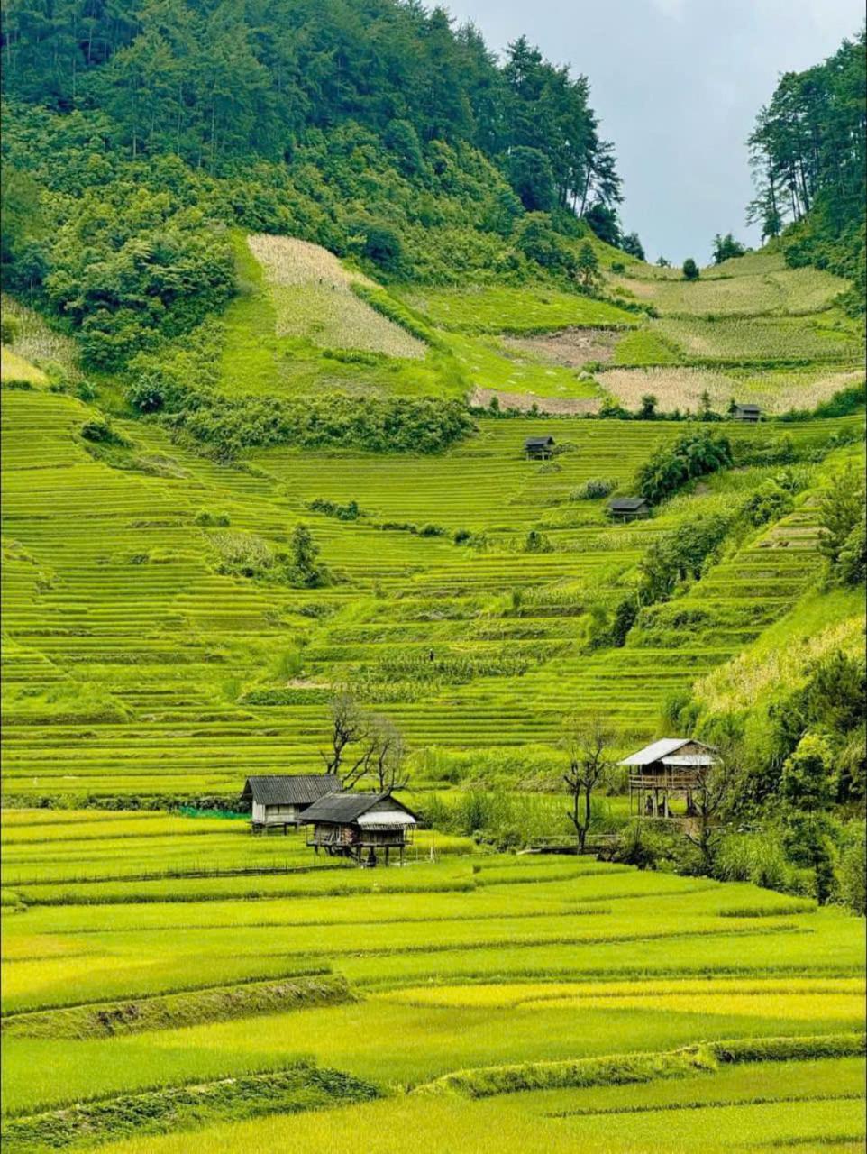 Mu Cang Chai Eco Home Extérieur photo